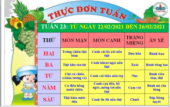 THỰC ĐƠN T23